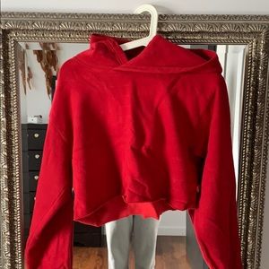 Aritzia, TNA perfect cropped hoodie